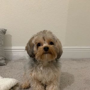 Meet your Posher, Jane